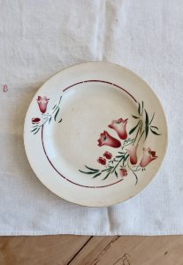 dot