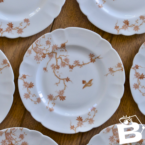 Assiettes à dessert anciennes en porcelaine de Limoges Haviland, oiseaux