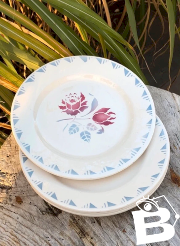 Assiettes à dessert rétro vintage