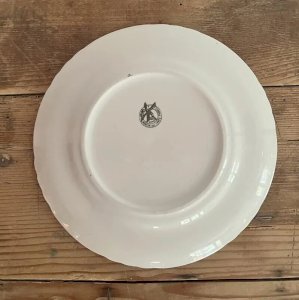 dot