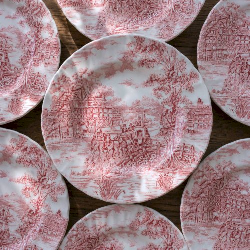 Assiettes anciennes anglaises Myott Staffordshire terre de fer rose