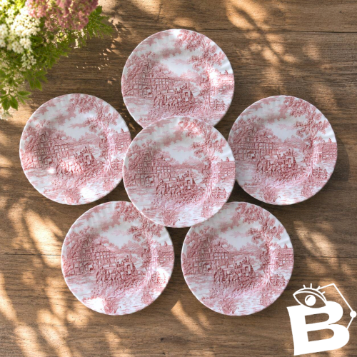 Assiettes anciennes anglaises Myott Staffordshire terre de fer rose
