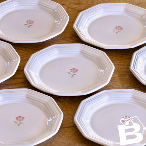 Assiettes anciennes de Niderviller peintes à la main