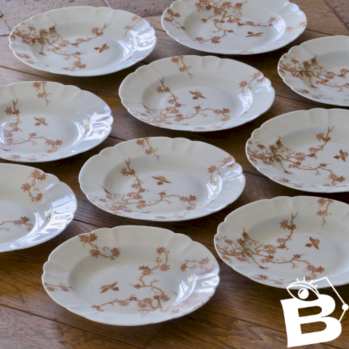 Assiettes anciennes en porcelaine de Limoges Charles Haviland, décor oiseau