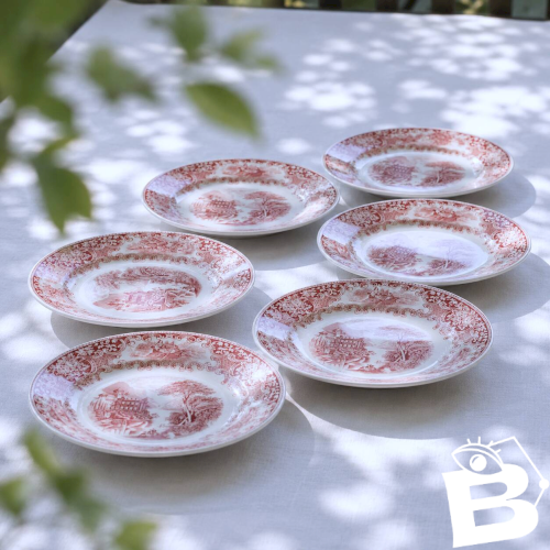 Assiettes anciennes hollandaises signées Maastricht Old England