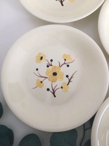 Assiettes anciennes Salins