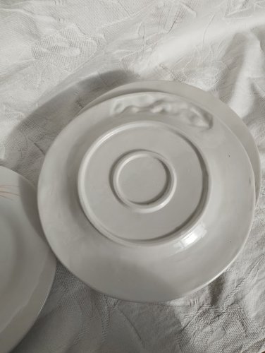 assiettes barbotines 