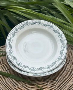Vintage retro deep plates Céranord