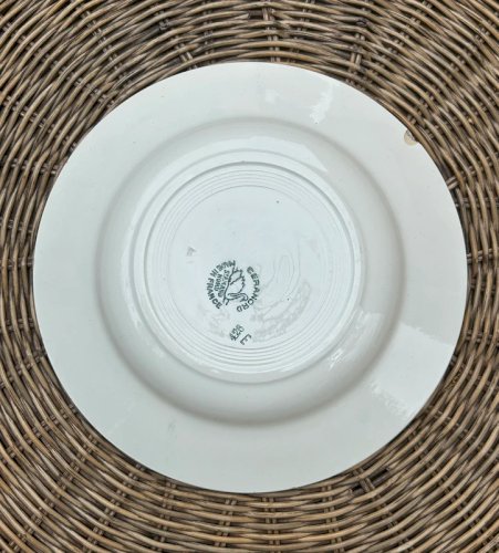 Assiettes creuses rétro vintage Céranord