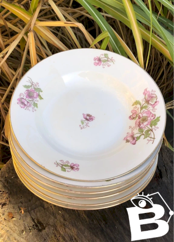 Assiettes creuses vintage en porcelaine motifs fleurs roses