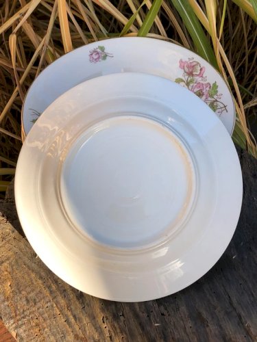 Assiettes creuses vintage en porcelaine motifs fleurs roses