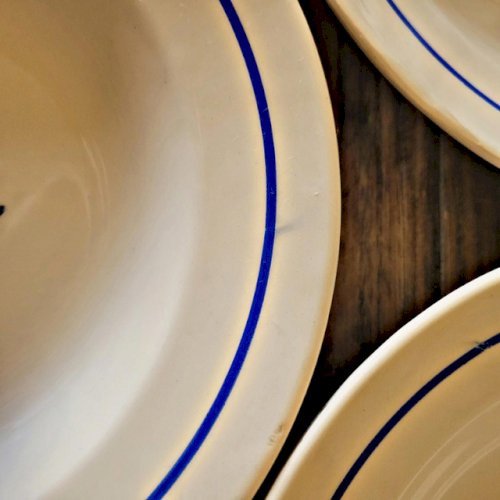 Assiettes creuses vintage faïence ADP, motifs de roses couleur bleu