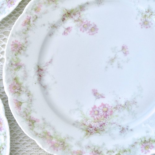 Assiettes en porcelaine Emile Bourgeois Drouot Paris