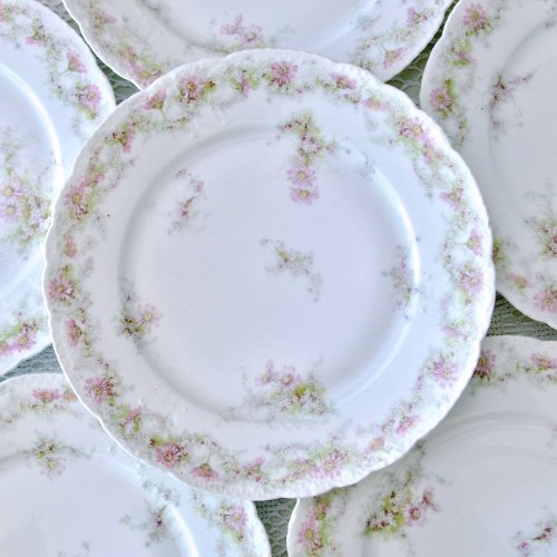 Assiettes en porcelaine Emile Bourgeois Drouot Paris