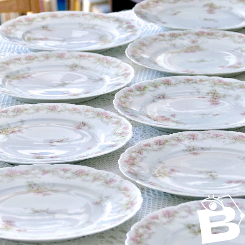 Assiettes en porcelaine Emile Bourgeois Drouot Paris