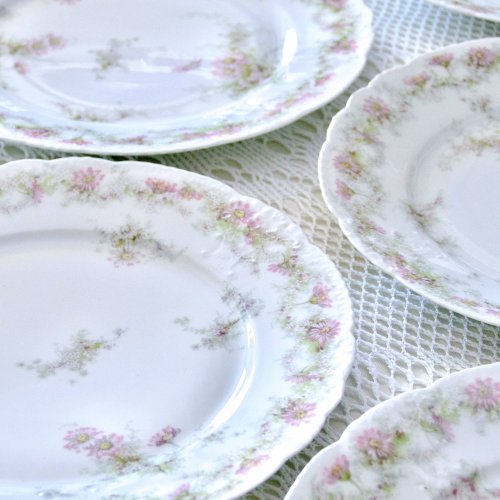 Assiettes en porcelaine Emile Bourgeois Drouot Paris