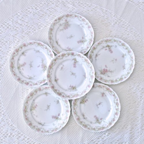 Assiettes en porcelaine Emile Bourgeois Drouot Paris