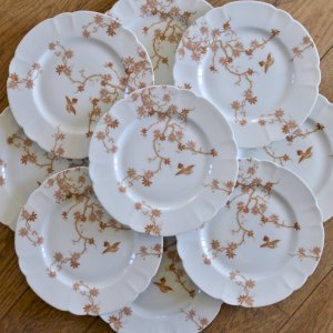 Antique flat plates made of Limoges Haviland porcelain, bird design.