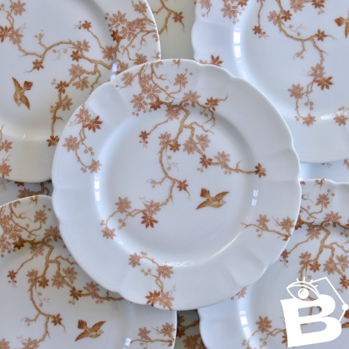 Assiettes plates anciennes en porcelaine de Limoges Haviland, décor oiseaux