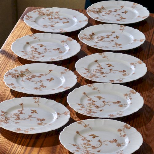 Assiettes plates anciennes en porcelaine de Limoges Haviland, décor oiseaux