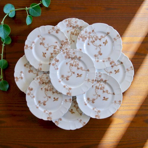 Assiettes plates anciennes en porcelaine de Limoges Haviland, décor oiseaux