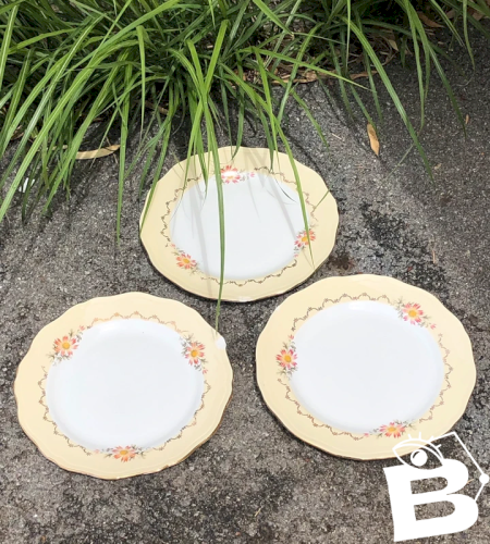 Assiettes plates anciennes L Amandinoise