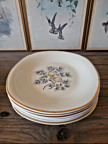 Assiettes plates Ceranord Saint Amand Dax, pommes de pin (par 6)