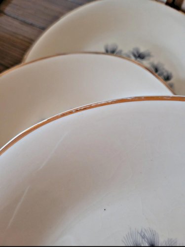 Assiettes plates Ceranord Saint Amand Dax, pommes de pin (par 6)