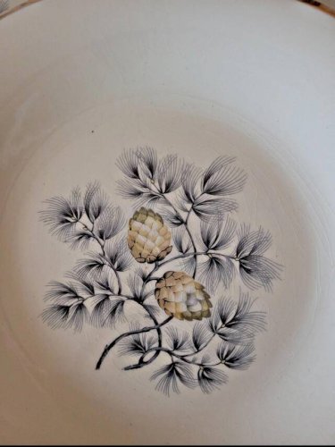 Assiettes plates Ceranord Saint Amand Dax, pommes de pin (par 6)