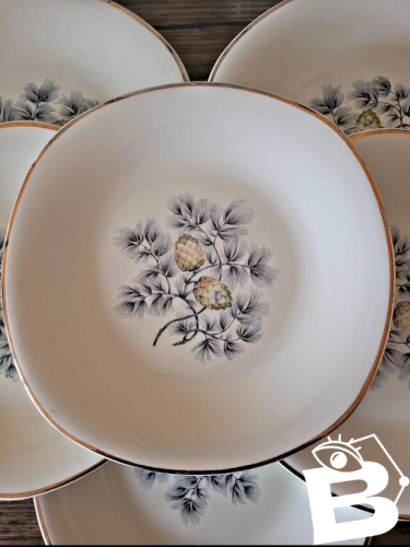 Assiettes plates Ceranord Saint Amand Dax, pommes de pin (par 6)