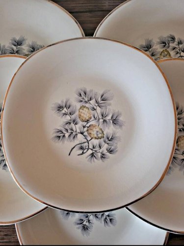 Assiettes plates Ceranord Saint Amand Dax, pommes de pin (par 6)