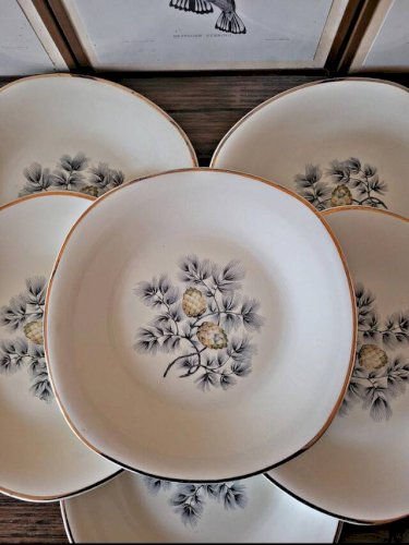 Assiettes plates Ceranord Saint Amand Dax, pommes de pin (par 6)