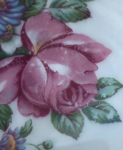 Assiettes plates en porcelaine motifs pivoines plus plat ovale assorti offert