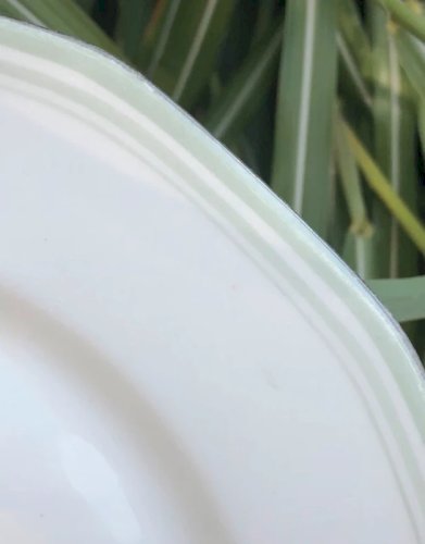 Assiettes plates en porcelaine motifs pivoines plus plat ovale assorti offert