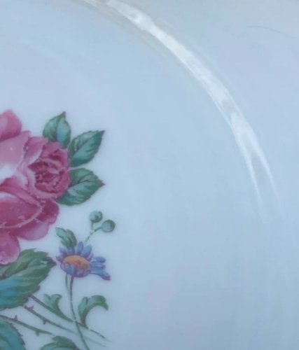 Assiettes plates en porcelaine motifs pivoines plus plat ovale assorti offert