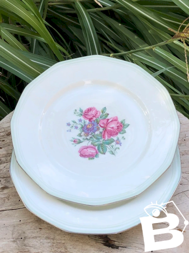 Assiettes plates en porcelaine motifs pivoines
