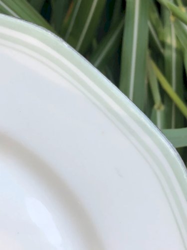 Assiettes plates en porcelaine motifs pivoines