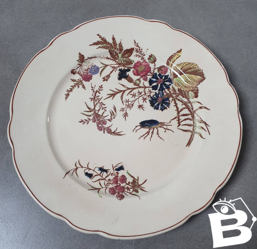Assiettes plates en terre de fer