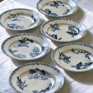 Assiettes plates oiseaux du XIXe siècle terre de fer signées Onnaing