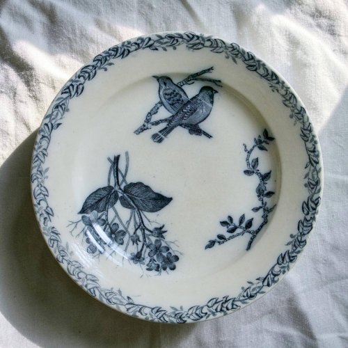 Assiettes plates oiseaux du XIXe siècle terre de fer signées Onnaing