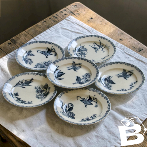 Assiettes plates oiseaux du XIXe siècle terre de fer signées Onnaing