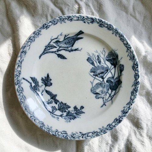 Assiettes plates oiseaux du XIXe siècle terre de fer signées Onnaing