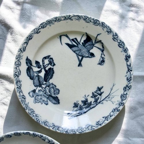 Assiettes plates oiseaux du XIXe siècle terre de fer signées Onnaing