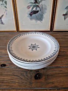 Blue ironstone flat plates Saint Amand, Primax service