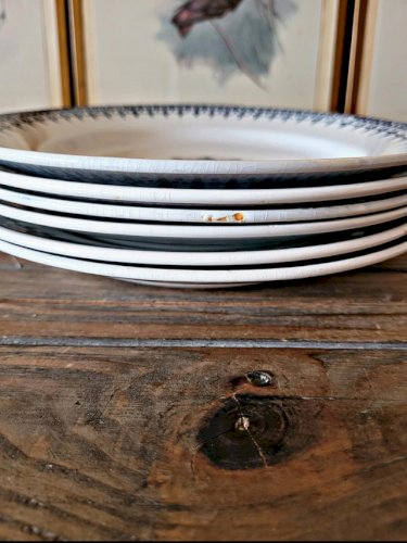 Assiettes plates Saint Amand en terre de fer bleue, service Primax