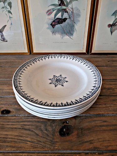 Assiettes plates Saint Amand en terre de fer bleue, service Primax