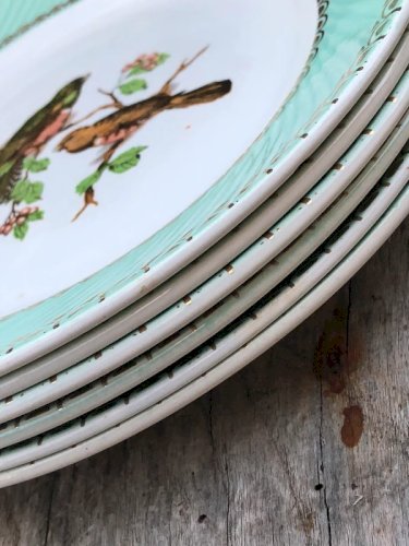 Assiettes plates vintage motifs oiseaux