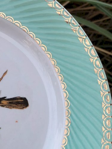 Assiettes plates vintage motifs oiseaux