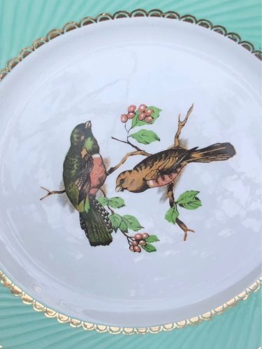Assiettes plates vintage motifs oiseaux
