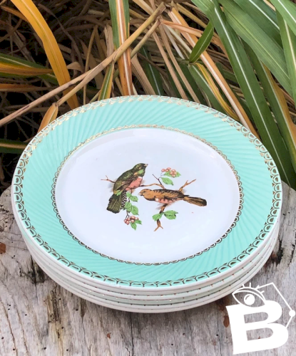 Assiettes plates vintage motifs oiseaux